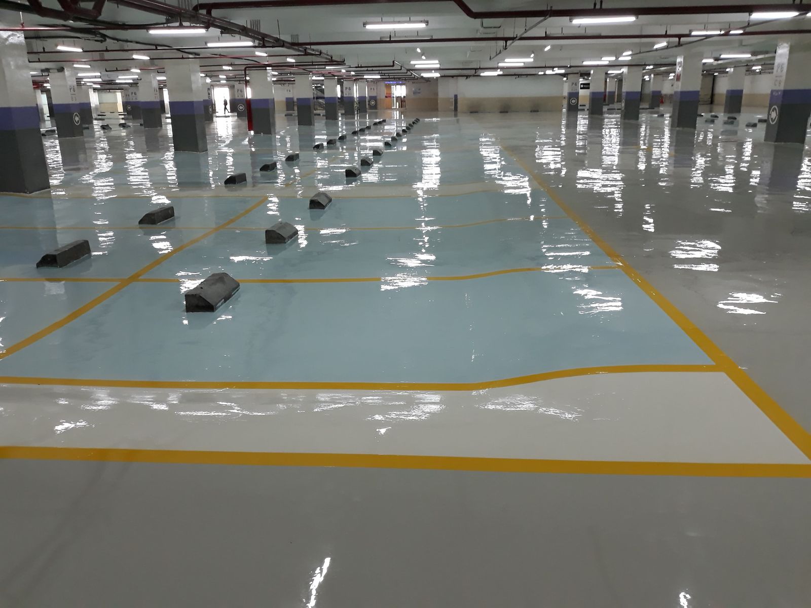Zona parkir merah di Emporium Pluit dengan rambu lantai dan mobil terparkir (12/12)